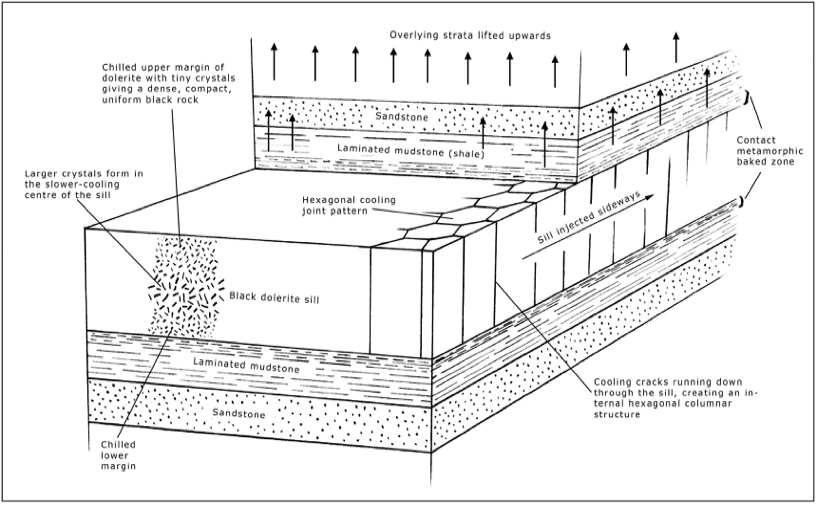 A diagram of forces acting on a dipping rock wedge within a sloping rock face.